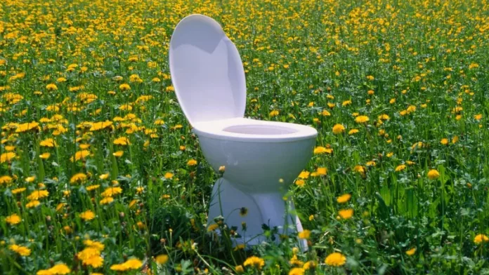 Ανθρώπινα Ούρα ως Λίπασμα: Πείραμα Αποκαλύπτει Εντυπωσιακά Αποτελέσματα