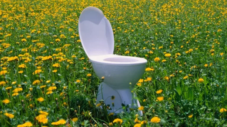 Ανθρώπινα Ούρα ως Λίπασμα: Πείραμα Αποκαλύπτει Εντυπωσιακά Αποτελέσματα