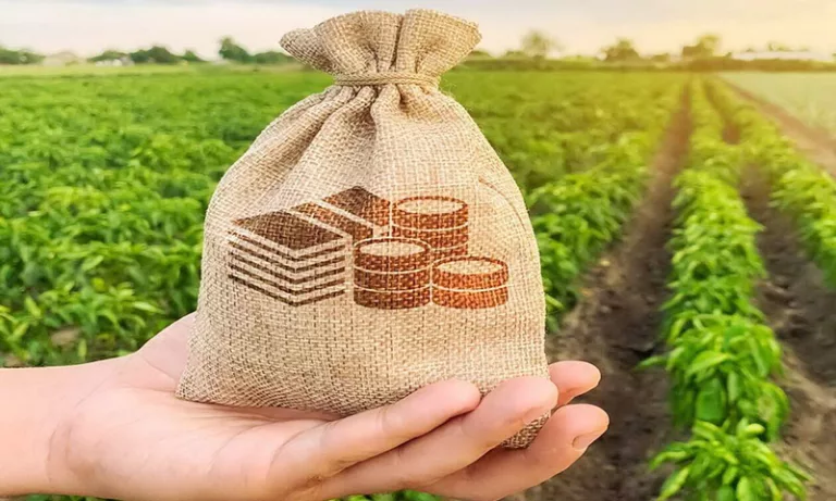 Άμεσες ενισχύσεις – Πρώτος στη λίστα επιδοτήσεων αγρότης από την Πέλλα!