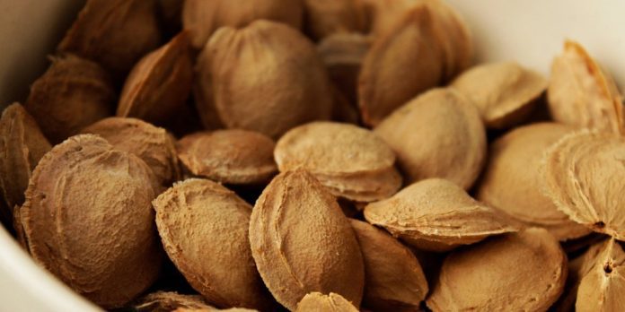 Κουκούτσια: Η Απλή Πράξη που Μπορεί να Αντιστρέψει την Κλιματική Αλλαγή