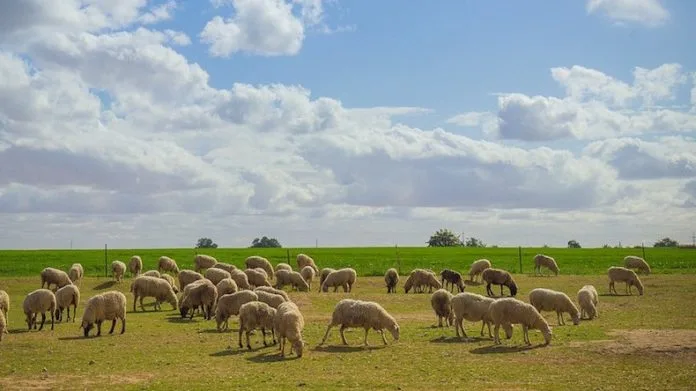 Εξισωτική Αποζημίωση 2025: Εγκρίθηκε το κονδύλι των 268 εκατ. – Πότε η πληρωμή