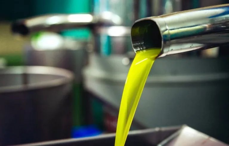 Αυξημένες σχεδόν 80% οι πωλήσεις πυρηνέλαιου στην Ισπανία την σεζόν 2023/24