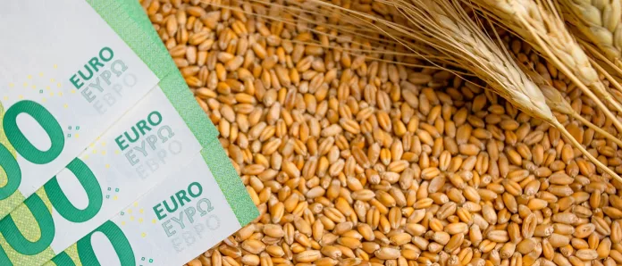 Αγορά Σιτηρών: Πτωτική Πορεία Σήμερα, Αισιόδοξες Προοπτικές για το Μέλλον