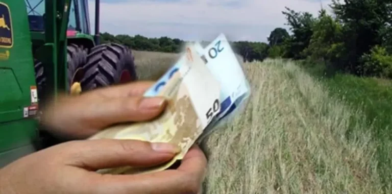 Ενισχύσεις για Αγρότες που Επλήγησαν από τις Πυρκαγιές: Τι Πρέπει να Γνωρίζετε