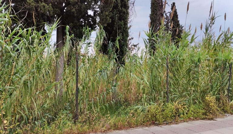 Έως 15 Ιουλίου δηλώσεις στο Gov.gr για καθαρά οικόπεδα αγροτών