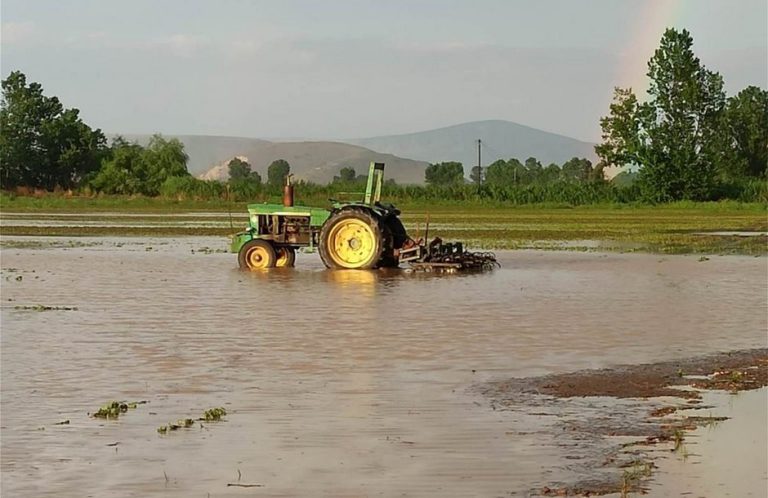 Σοκ στη Θεσσαλία: Ο ΕΛΓΑ Ζητά Πίσω Χρήματα από 2.645 Αγρότες για τις Προκαταβολές του Daniel – Ο Πλήρης Οδηγός
