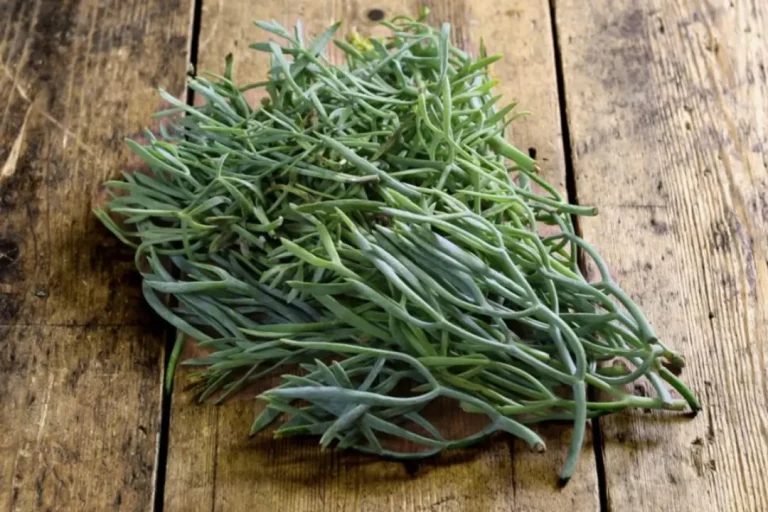 Μια εναλλακτική καλλιέργεια που κερδίζει συνεχώς έδαφος