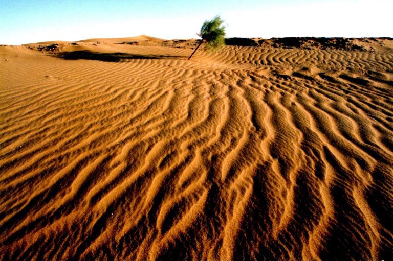 Ξηρασία στην Αιτωλοακαρνανία: Καταρρέουν οι καλλιέργειες λόγω έλλειψης άρδευσης