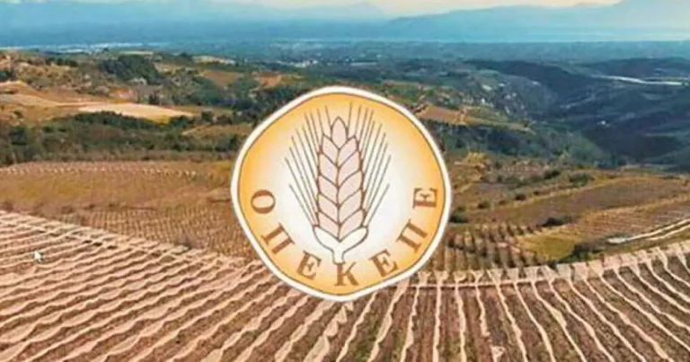 ΟΠΕΚΕΠΕ Gate: 13 προφυλακίσεις για την εγκληματική οργάνωση – Ελεύθεροι με όρους λογιστής και πατέρας αρχηγού