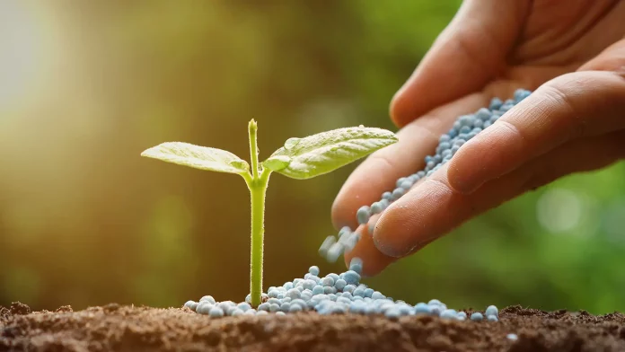 Ουραία Πτώση στις Τιμές Παγκοσμίως Λόγω του Φυσικού Αερίου: Τι Σημαίνει Αυτό για τους Αγρότες;