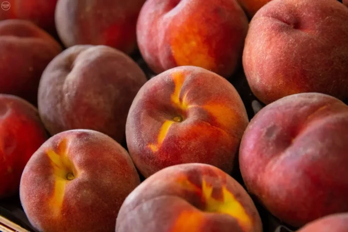 Οι Τιμές Έφτασαν έως 60 Λεπτά το Κιλό Μειωμένες έως και 40% οι αποδόσεις