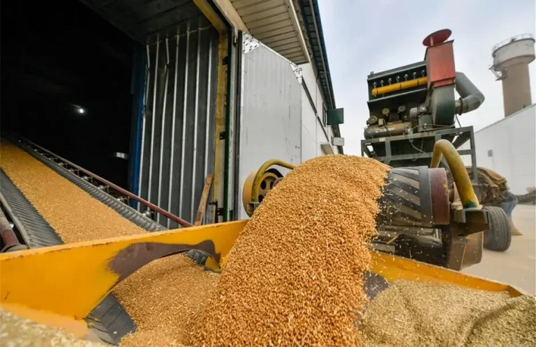 Κιλκίς: Ο Συνεταιρισμός Αξιουπόλεως ξεκινά παραλαβές με κορυφαίες τιμές