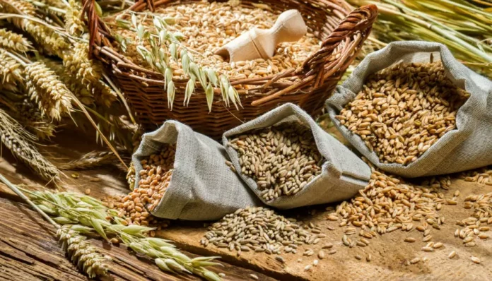 Άλμα στις Εξαγωγές Ουκρανικών Σιτηρών: Αυξήθηκαν κατά 67%