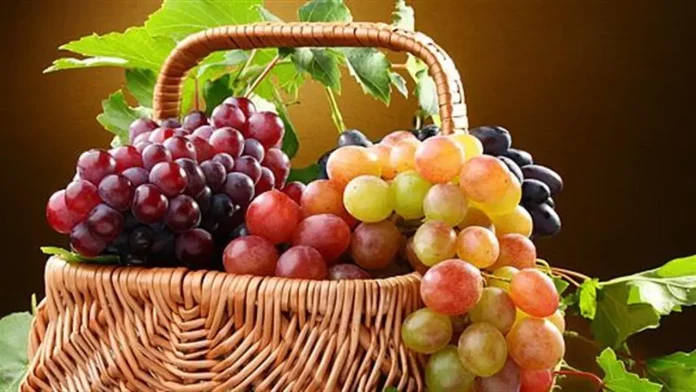 Η Ισπανική Συγκομιδή του 2024: Προς τον Μέσο Όγκο