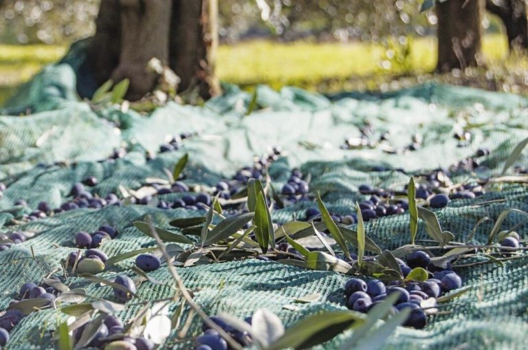 Η Κομισιόν Προτείνει Μείωση των Ορίων Υπολειμμάτων