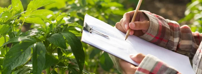 Ψηφιακές Ετικέτες για Αγροτικά Εφόδια: Η Νέα Εποχή για Επιχειρήσεις και Αγρότες