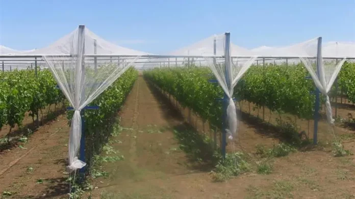 Σε Διαβούλευση το Σχέδιο Χαλαζικής Προστασίας από τον ΕΛΓΑ