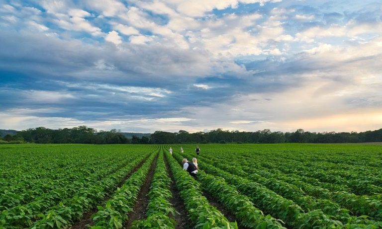 Στέρηση επιδοτήσεων για παραβάσεις της εργατικής νομοθεσίας