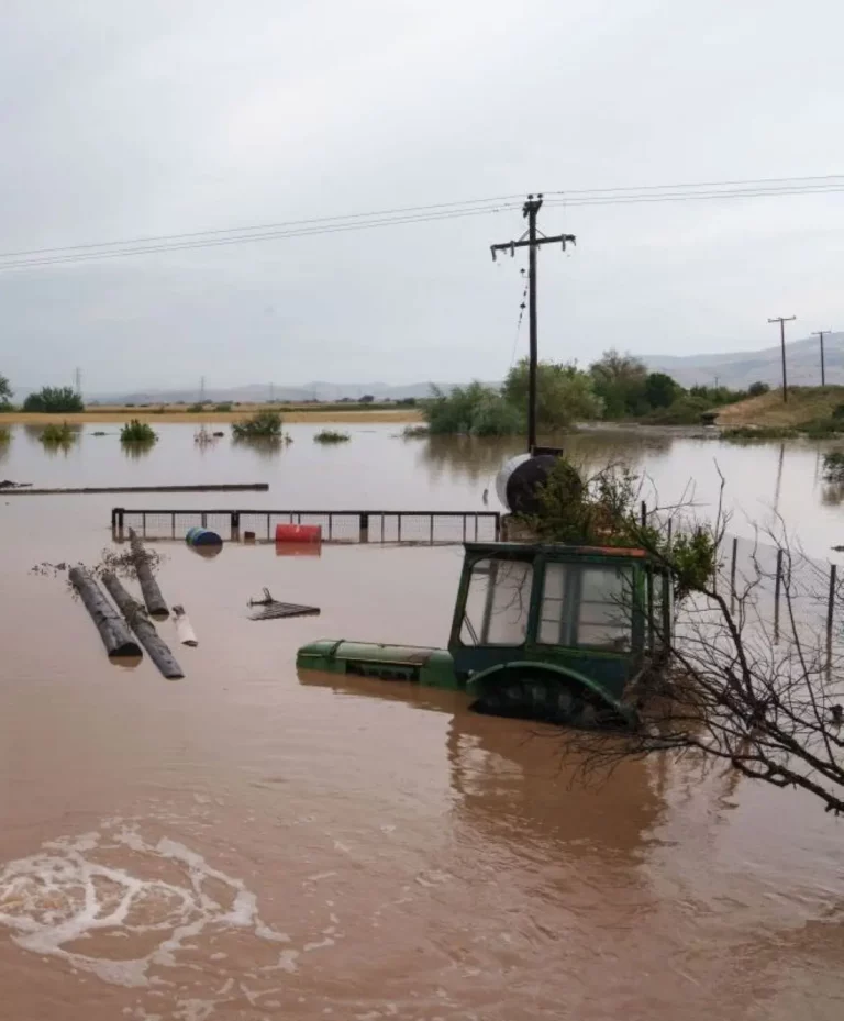 Π.Ε.Καρδίτσας: Προχωρά ικανοποιητικά το έργο των επιτροπών για τις ζημιές σε αγροτικές εκμεταλλεύσεις