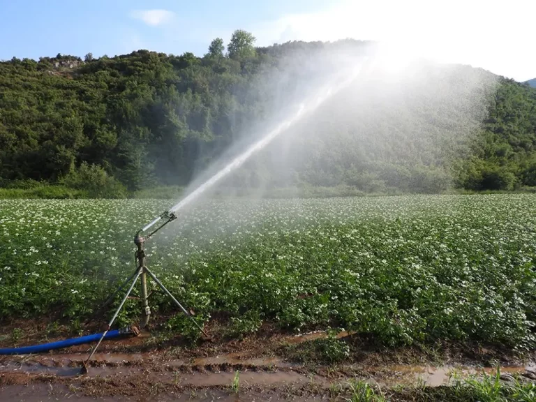 «Πόλεμος» για το Νερό στα Τενάγη Φιλίππων: Αγρότες Μήνυσαν 4 Προέδρους ΤΟΕΒ για Κακοδιαχείριση που «Στέγνωσε» τον Κάμπο