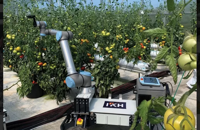 Αντικατάσταση εργατικών χεριών στις καλλιέργειες