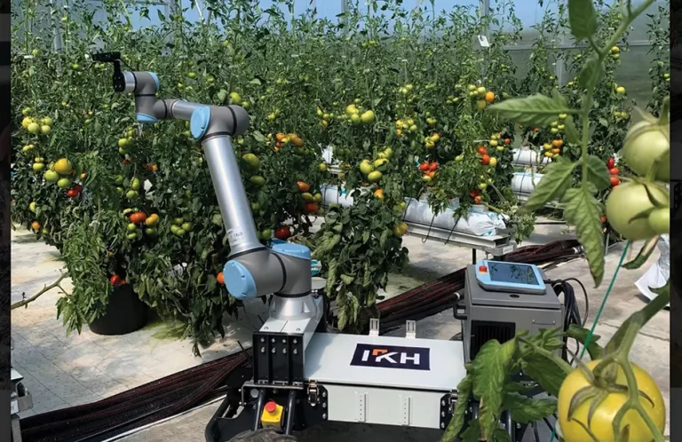 Με Τεχνητή Νοημοσύνη από το Μπενάκειο : Αντικατάσταση εργατικών χεριών στις καλλιέργειες