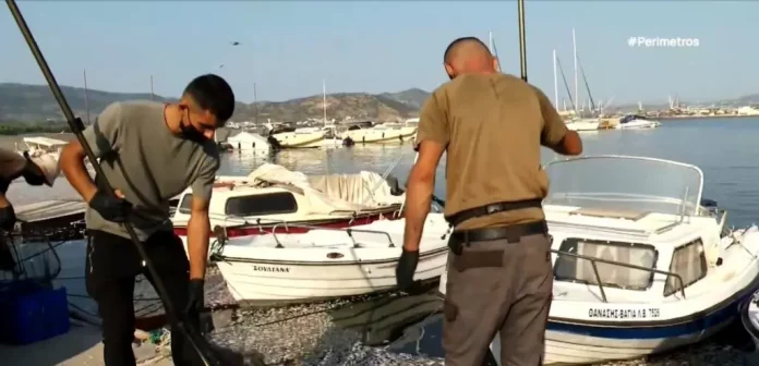 Επιχείρηση απομάκρυνσης των νεκρών ψαριών