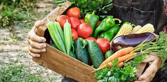 Μείωση στο κόστος παραγωγής σύμφωνα με την ΕΛΣΤΑΤ