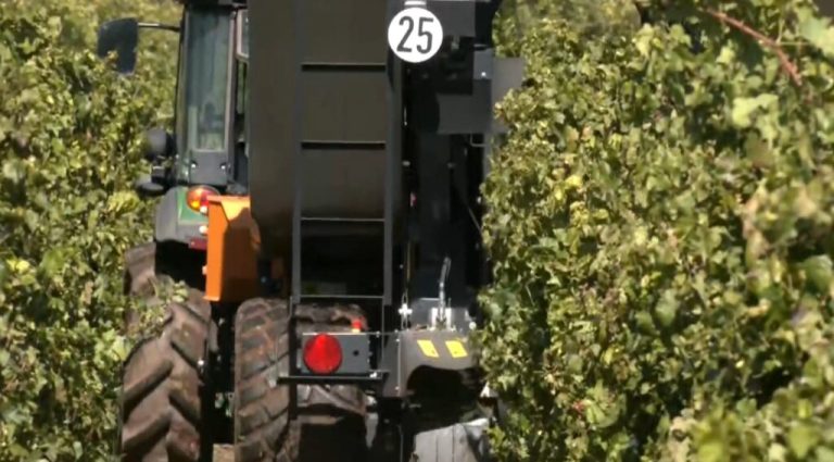 Νέο μηχάνημα για τη συγκομιδή σταφυλιών – Μαζεύει την καλύτερη ποιότητα σε ελάχιστο χρόνο (ΒΙΝΤΕΟ)