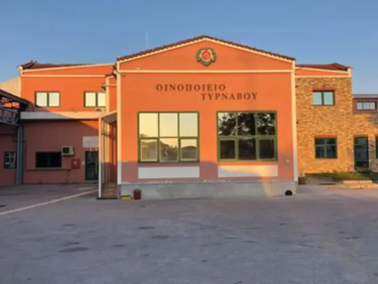 Με αυξημένες τιμές παραλαμβάνει οινοποιήσιμα σταφύλια ο ΑΟΣ Τυρνάβου