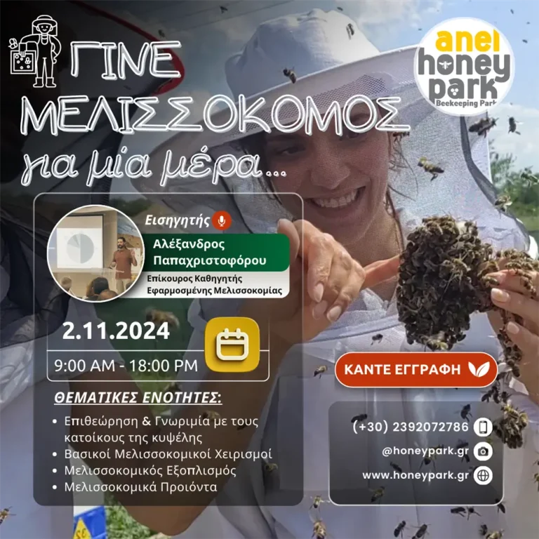 Γίνε μελισσοκόμος για μια ήμερα !!!!