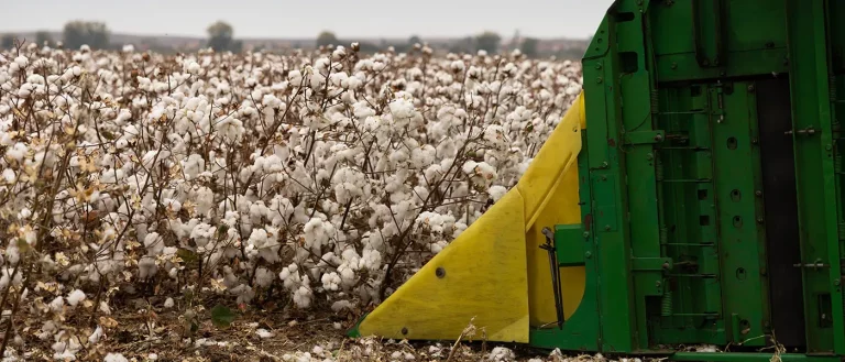«Πριμ Άνθρακα» 120 εκατ. €: Η Νέα Υπόσχεση και ο Φόβος για ένα Δεύτερο «Φιάσκο» τύπου Βιολογικών