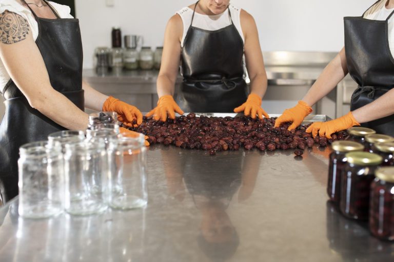 Greenland Co-Farming: Η Επιστροφή στα Ελαιόδεντρα που Άλλαξε τη Ζωή τους