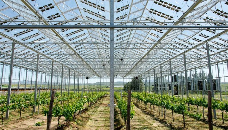 Διεθνές Συνέδριο για τα Αγροβολταϊκά: Καινοτόμες Εφαρμογές για τη Γεωργία