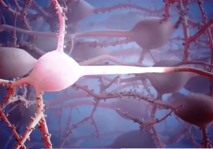 Έλληνας επιστήμονας πρωτοπορεί στην έρευνα για το Αλτσχάιμερ