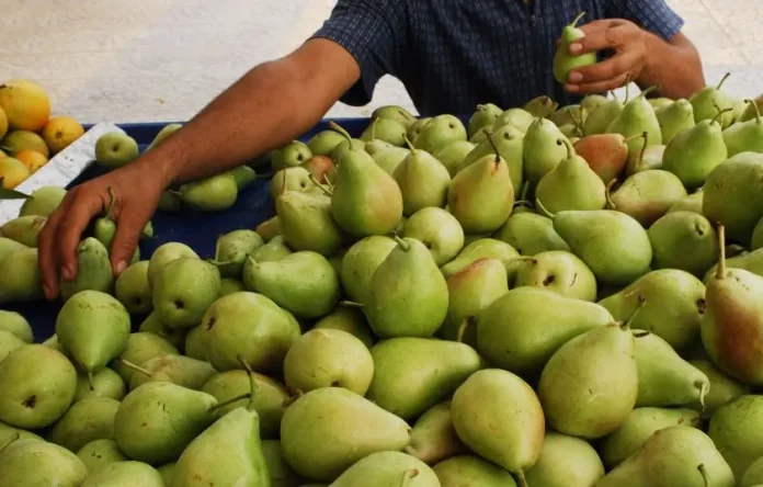 Τα Κρυστάλλια Σώζουν την Τιμή τους στην Αγορά των Φρούτων: Τρέχουσες Τάσεις