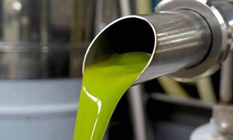 SOS για το Ελαιόλαδο: Έρχονται Νέοι, Αυστηρότεροι Κανόνες για τα Υπολείμματα Φυτοφαρμάκων – Τι Αλλάζει σε Ψεκασμούς και Ελέγχους