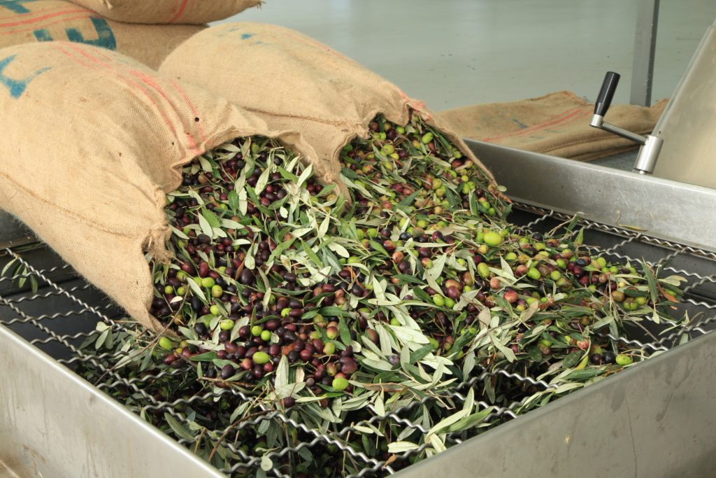 Μείωση 40% στην Τιμή Παραγωγού