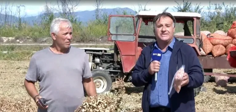 Αράπικο φιστίκι: Η πιο κερδοφόρα καλλιέργεια στις Σέρρες