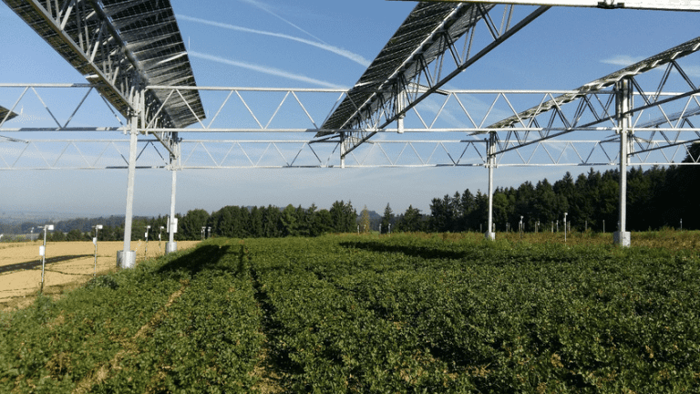 Αγροβολταϊκό Πάρκο: Συνδυασμός γεωργίας και ηλιακής ενέργειας