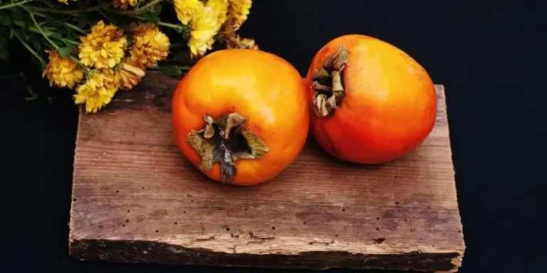 Κερδίζουν έδαφος οι λωτοί σε Ημαθία και Πέλλα – Στα 45-50 λεπτά το κιλό η τιμή παραγωγού 