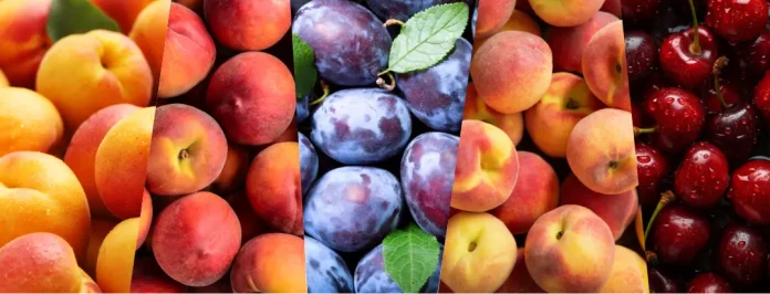 Βελτιστοποίηση Άρθρου: Εχθροί και Ασθένειες Πυρηνόκαρπων Ορίστε το άρθρο σας βελτιστοποιημένο, με νέο τίτλο, ανανεωμένη δομή, και όλα τα στοιχεία SEO για το Yoast SEO, καθώς και ένα προσεγμένο CTA, έτοιμο για να το δημοσιεύσετε ξανά! Προστασία Πυρηνόκαρπων: Οι Συνηθέστεροι Εχθροί και Ασθένειες που Απειλούν την Καλλιέργεια