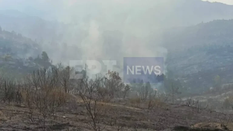Αποκαρδιωτική η εικόνα της καταστροφής στην Κορινθία – Χιλιάδες στρέμματα δάσους και καλλιεργειών έγιναν στάχτη – Χωρίς νερό περιοχές (βίντεο)