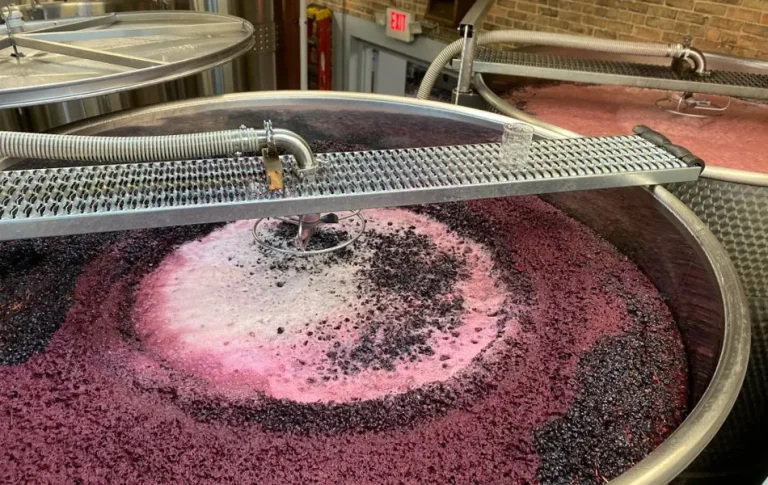 Ένα ρομπότ μπορεί να ζυμώσει ταυτόχρονα 60 παρτίδες οίνου