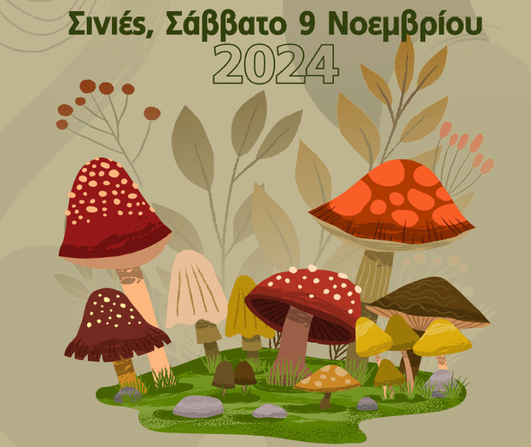 Γιορτή μανιταριών στις Σινιές-Αναζητώντας στο δάσος άγρια μανιτάρια