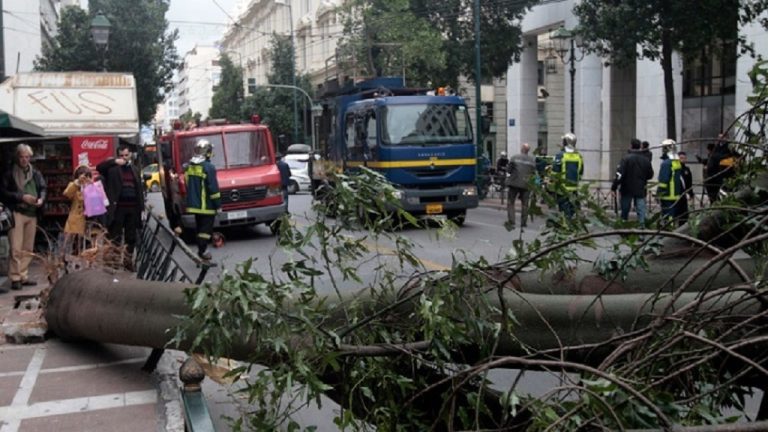 Ισχυροί άνεμοι σάρωσαν την Ήπειρο το βράδυ – 26 κοπές δέντρων και επεμβάσεις της πυροσβεστικής