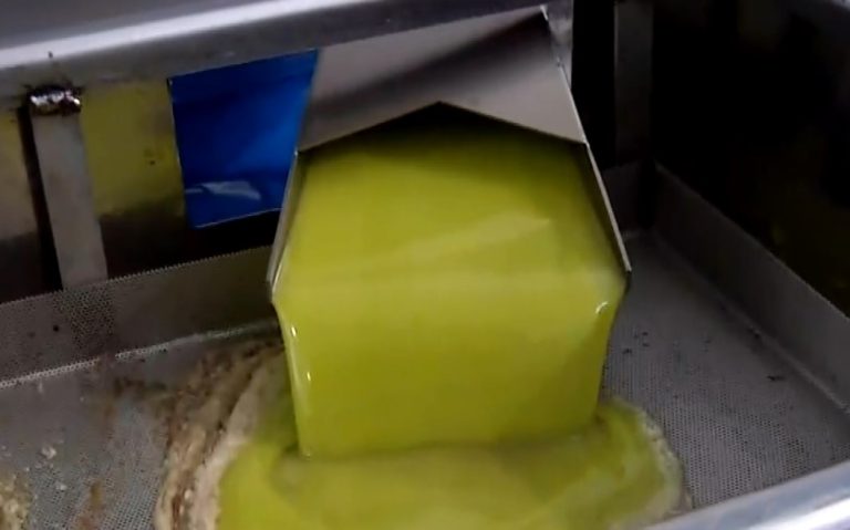 Η Ιταλία προβλέπει παραγωγή 300.000 τόνων – Διαφωνίες για την ιχνηλασιμότητα του ελαιολάδου