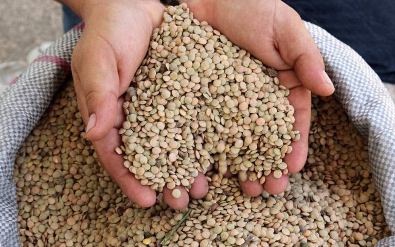 Τα Διάσημα Όσπρια των Φαρσάλων: Εκλεκτή Ποιότητα και Υπέροχη Γεύση