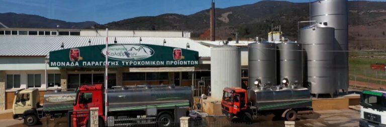 Καλάβρυτα: Η παραδοσιακή Φέτα ΠΟΠ του Συνεταιρισμού Καλαβρύτων πρώτη σε πωλήσεις πανελλαδικά