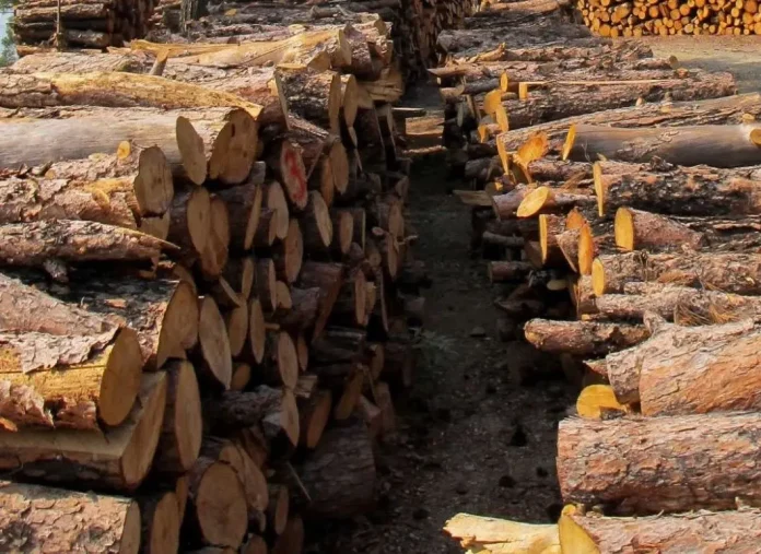 Καλύπτονται οι ανάγκες σε καυσόξυλα των υπολοίπων 30 απολυμένων του Βαρβαρέσου